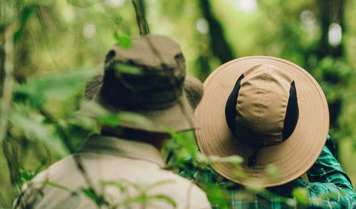 1-gorilla-trek-bwindi-impenetrable-forest-uganda-tours