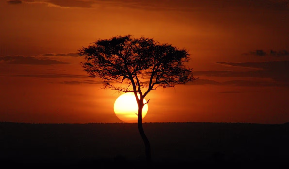 masai-mara-3518094_960_720